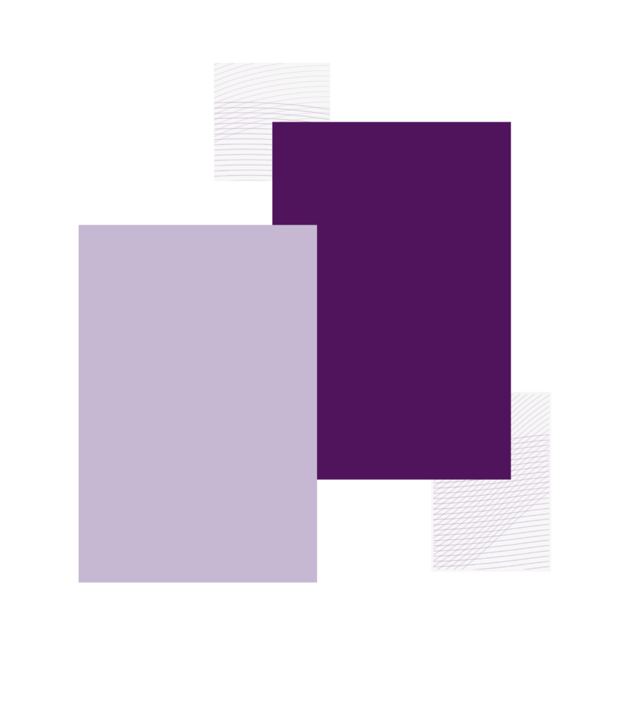2 blocs de couleurs violets
